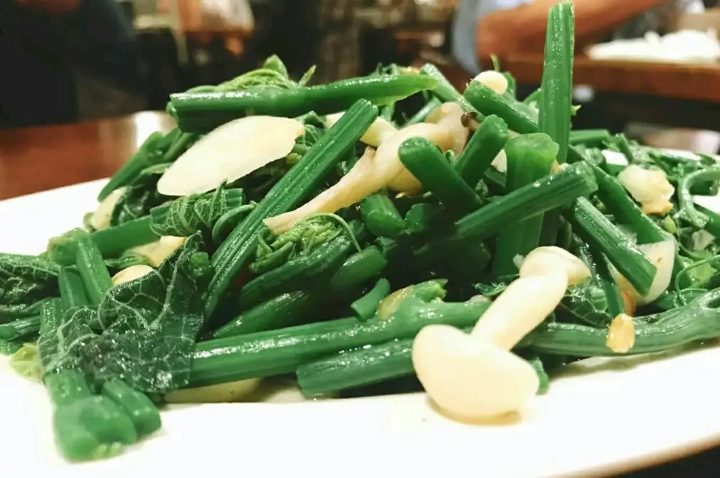 陽明山美食推薦 陽明山美食推薦