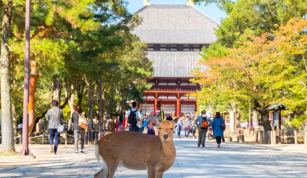大阪旅遊行程