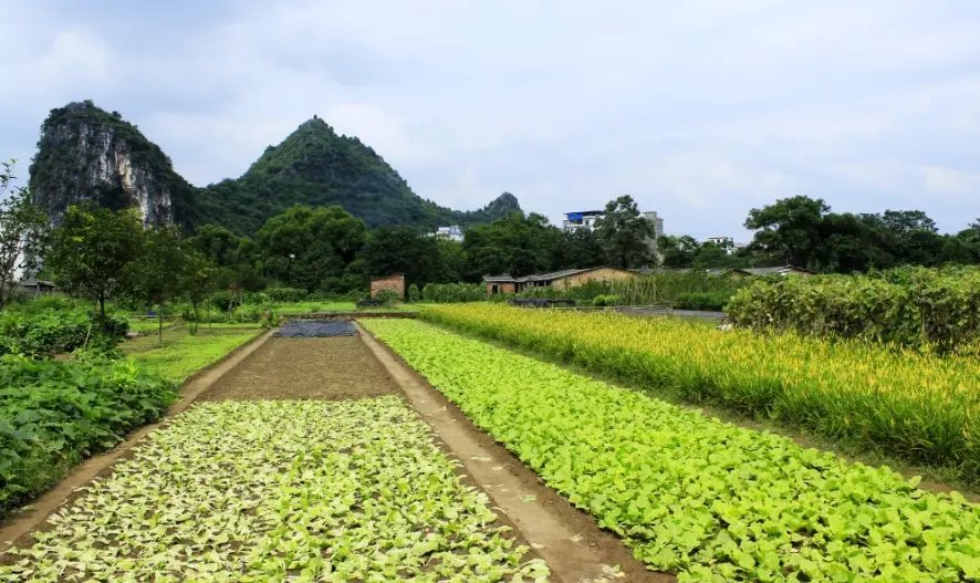 陽明山美食推薦