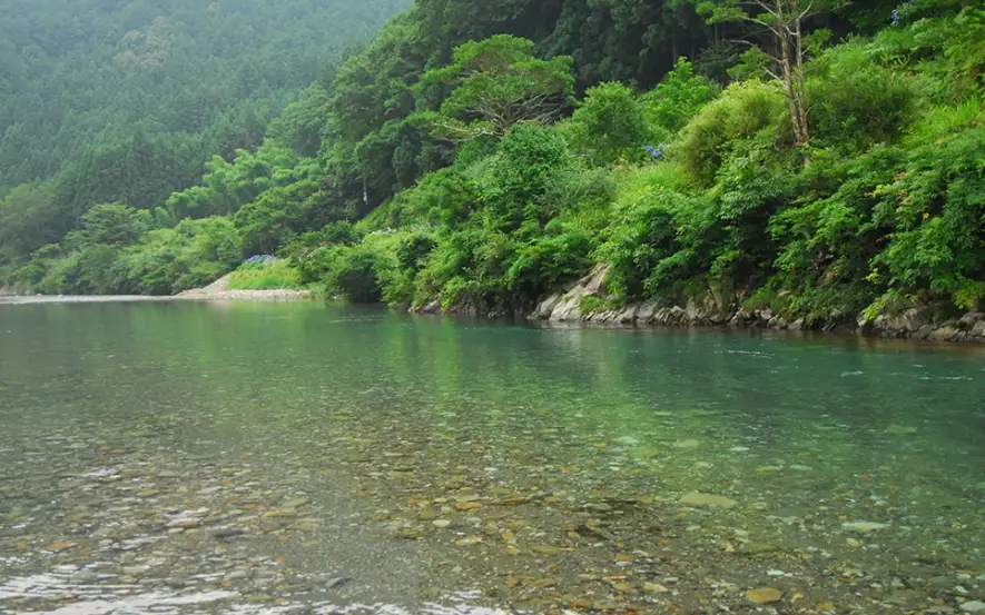 台灣到川湯溫泉交通