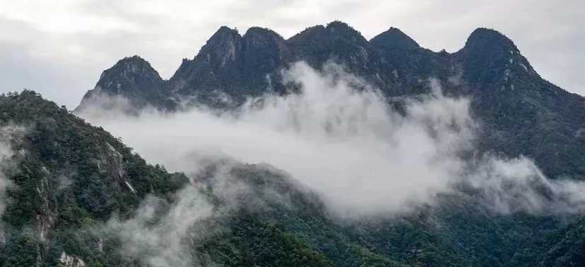 大油坑地熱景觀