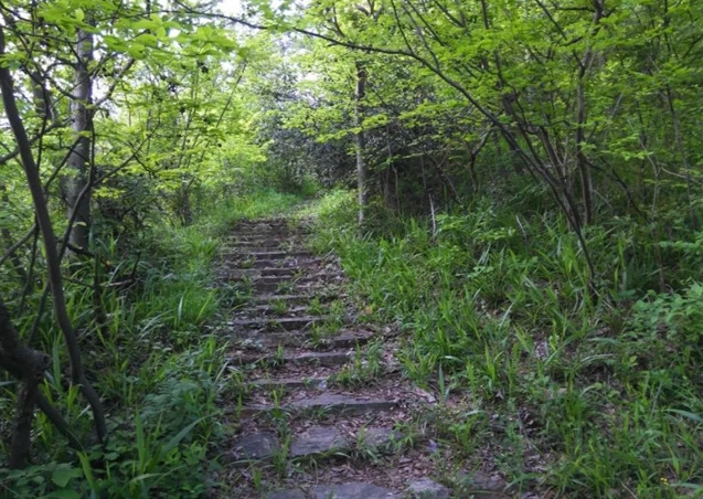 七股山古道歷史