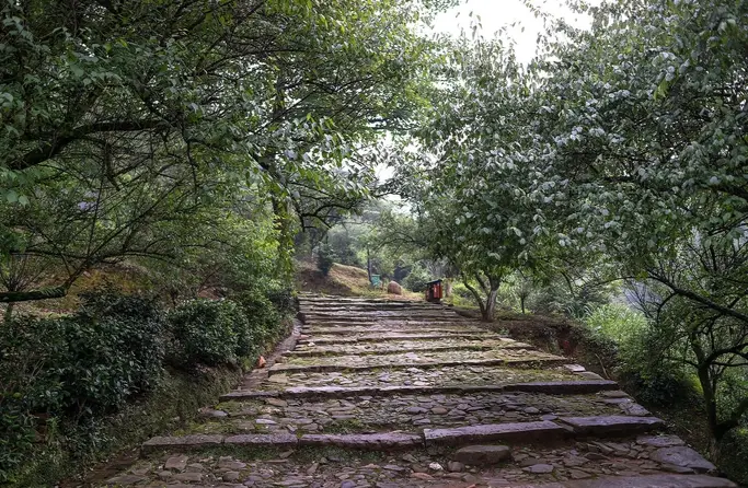 七股山古道健行