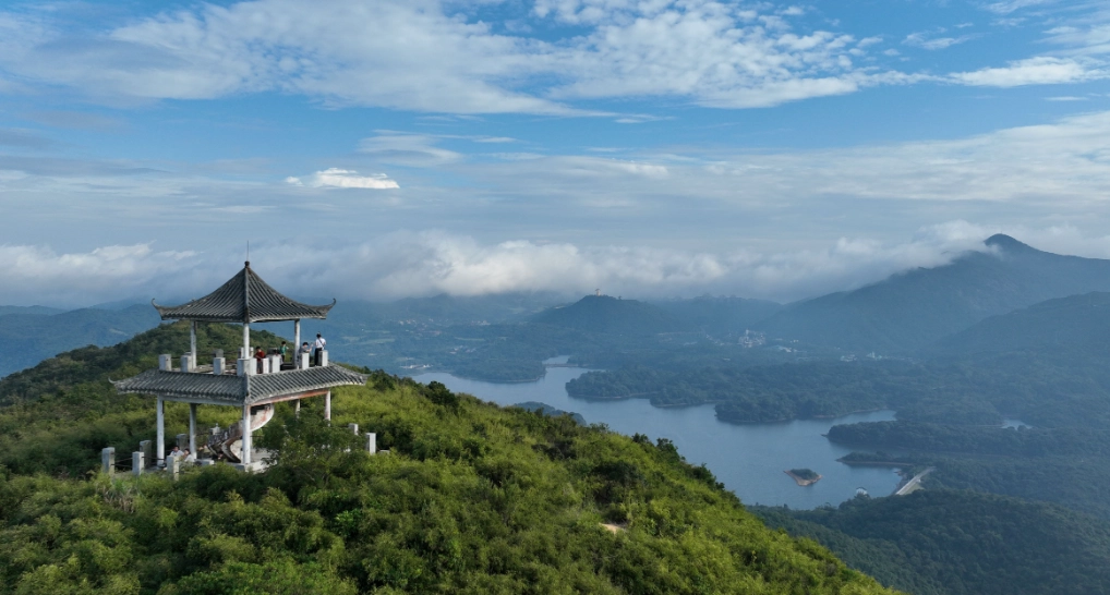 台東山區旅遊 台東山區旅遊
