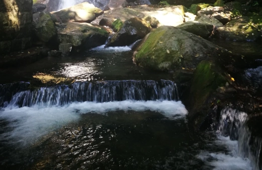 陽明山野溪溫泉地點 陽明山野溪溫泉地點