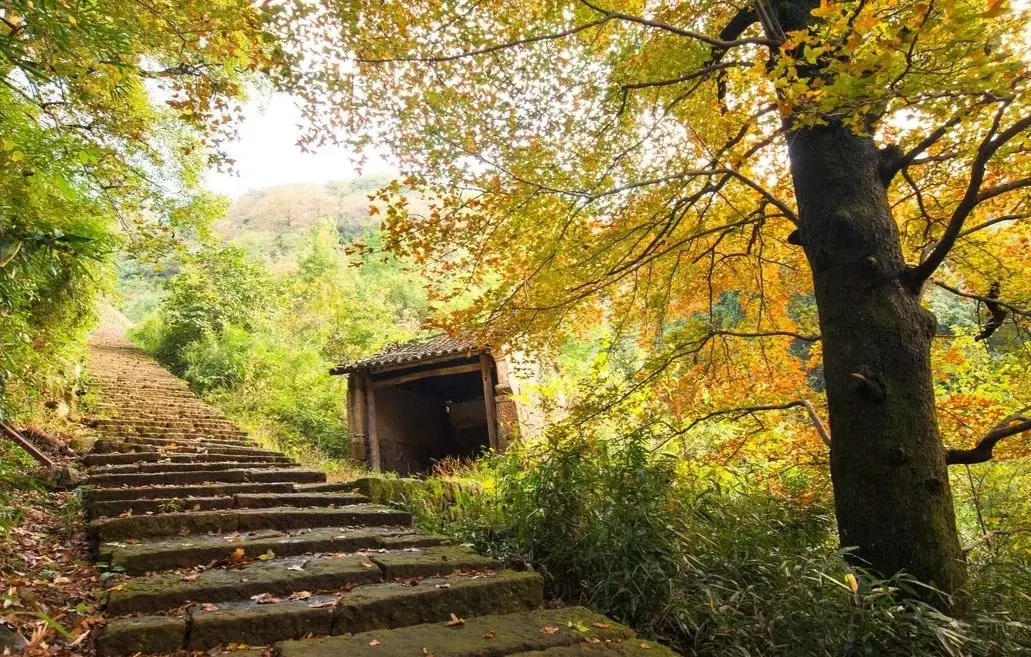 七股山古道路線