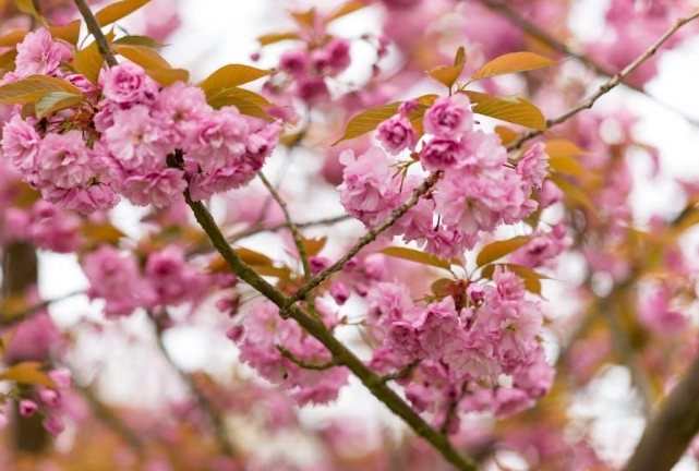 夏季旅遊推薦 夏季旅遊推薦