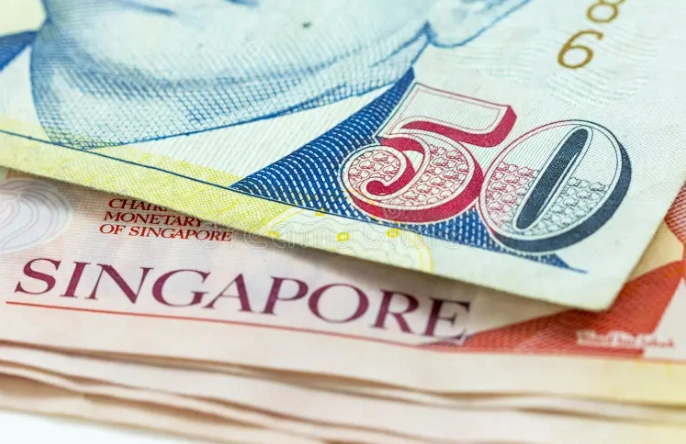 新加坡美金使用 新加坡美金使用