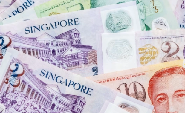 新加坡带美金划算吗