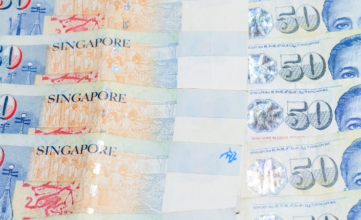 新加坡带美金划算吗