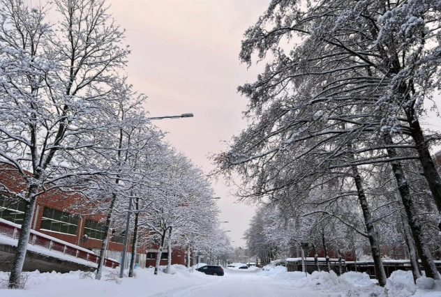 芬蘭一月天氣全攻略：極寒穿搭、極光行程與生存指南