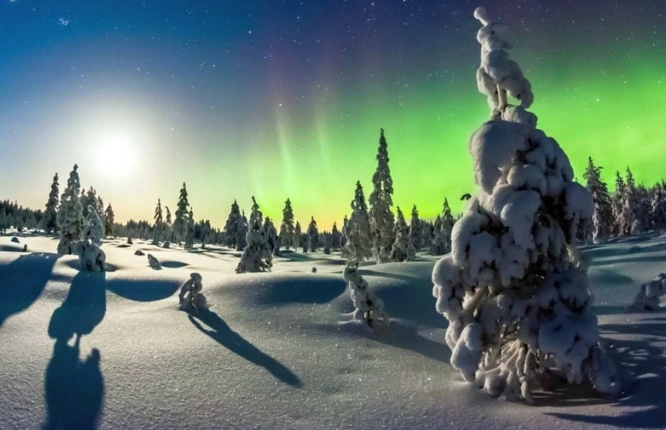 芬蘭1月極光終極指南：地點、時間與省錢秘訣