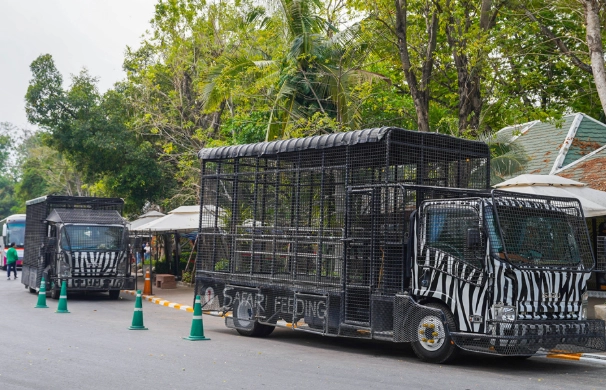曼谷賽佛瑞野生動物園交通全攻略：省錢省時輕鬆抵達
