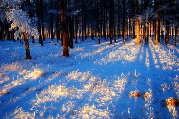 12月國內旅遊推薦：避寒賞楓泡湯三大主題行程全攻略