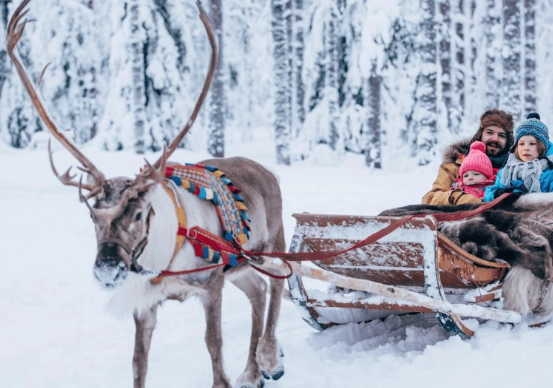 如何取得北極圈證書