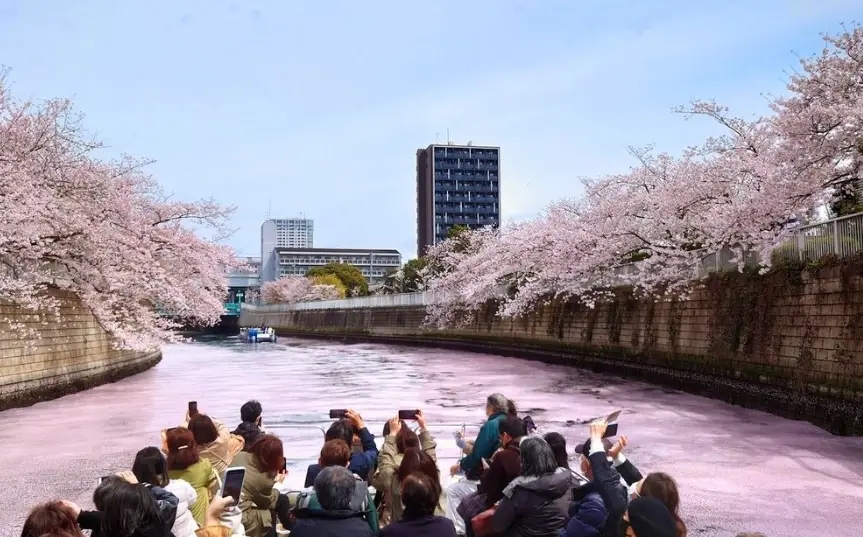東京目黑川怎麼去