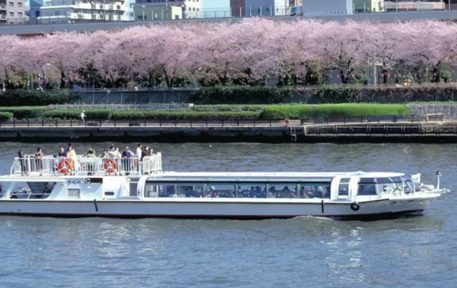 目黑川賞櫻船全攻略：船票、路線、拍攝技巧一次掌握