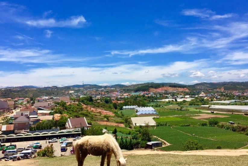 河内自由行 河内自由行