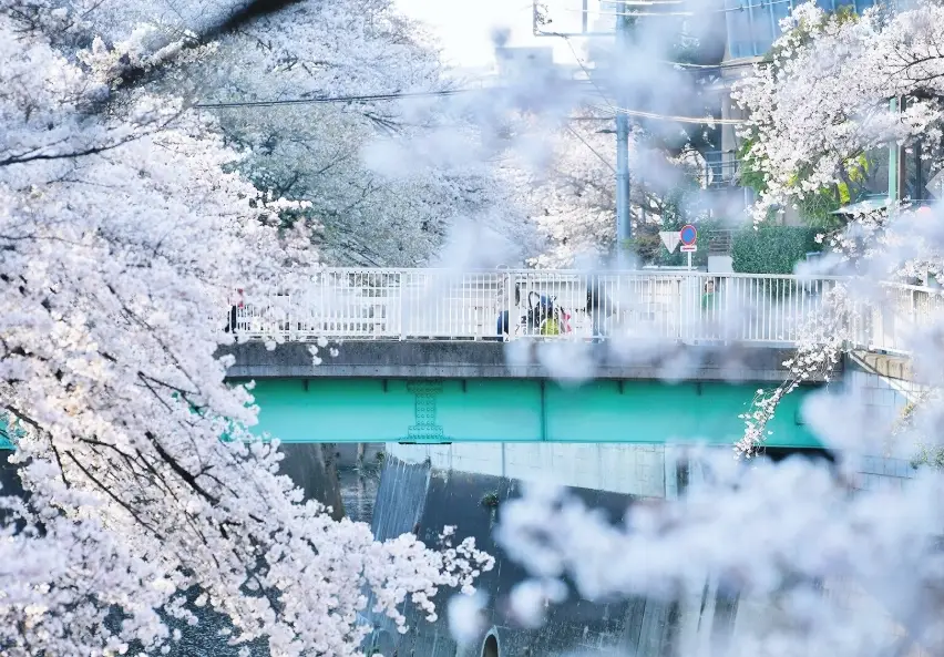 目黑川交通方式