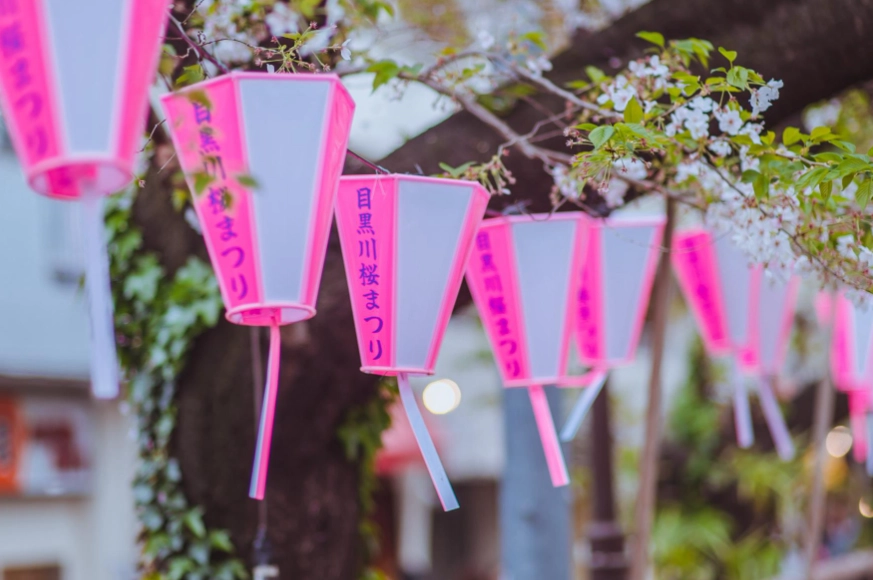 目黑川賞櫻攻略