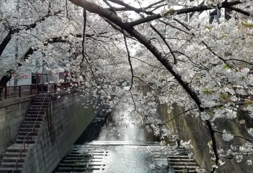目黑川交通方式