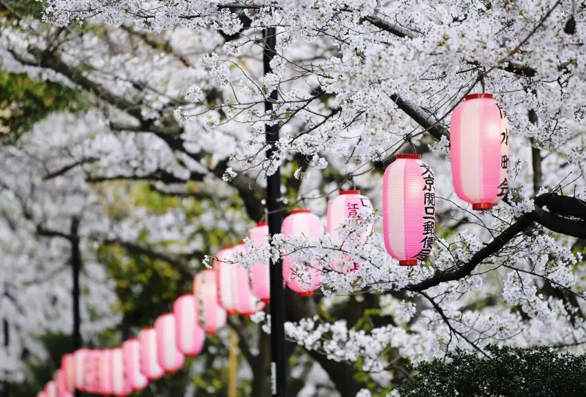 東京目黑川怎麼去