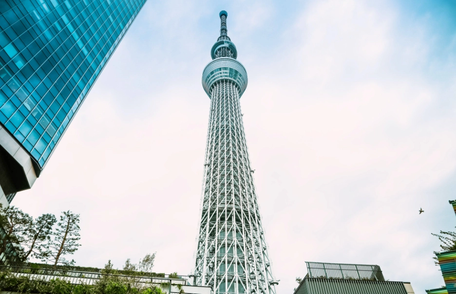台北101高度 台北101高度