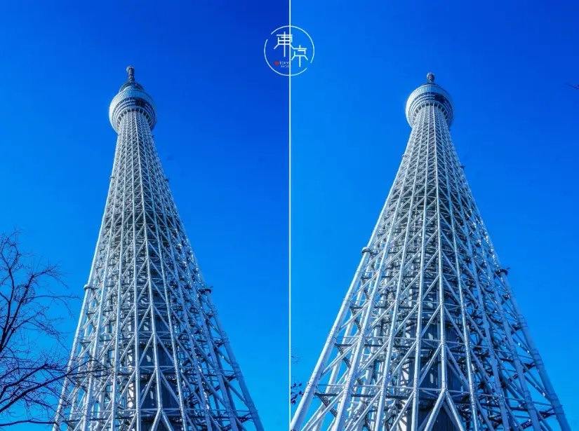 高樓觀光攻略 高樓觀光攻略