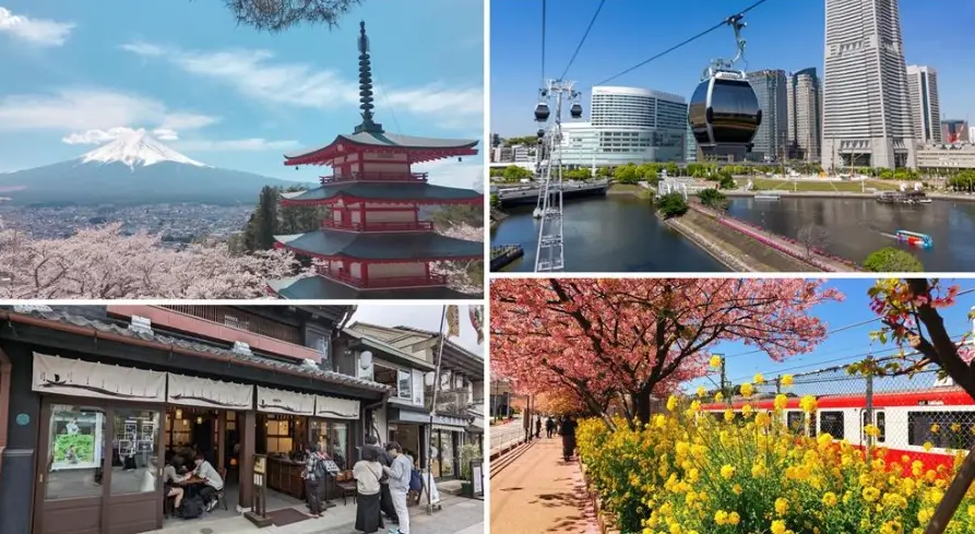 東京近郊自由行