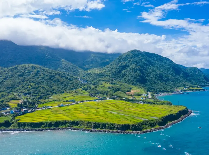 東京近郊自由行