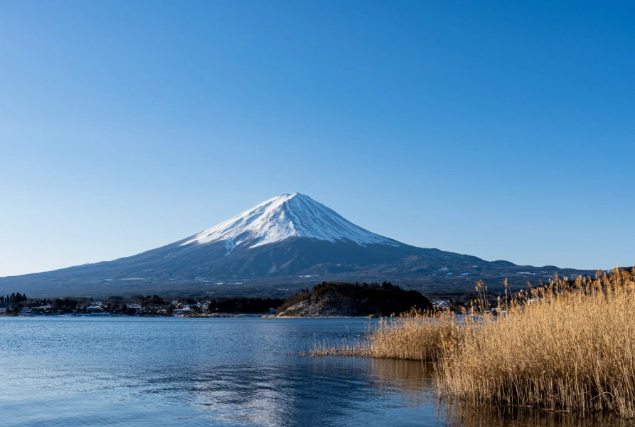 東京近郊自由行