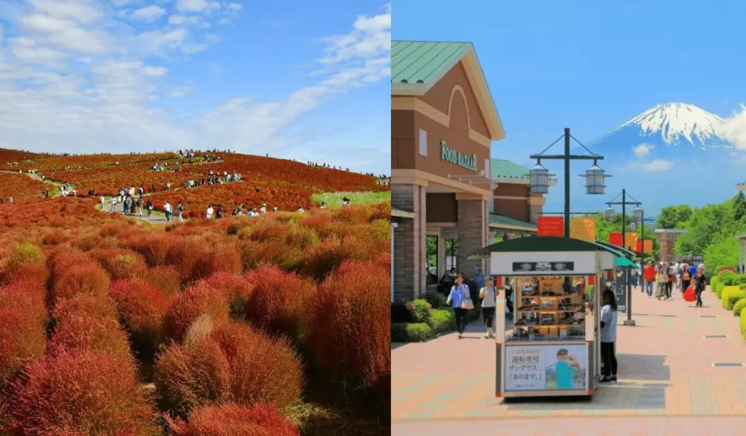 夏天東京近郊一日遊攻略：避暑景點與行程規劃