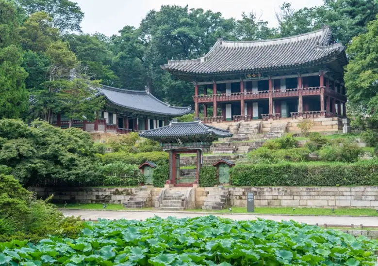 秘苑 冬季 導覽