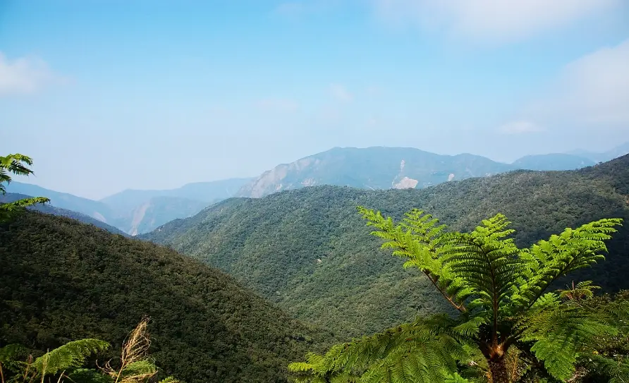 屏東山上景點