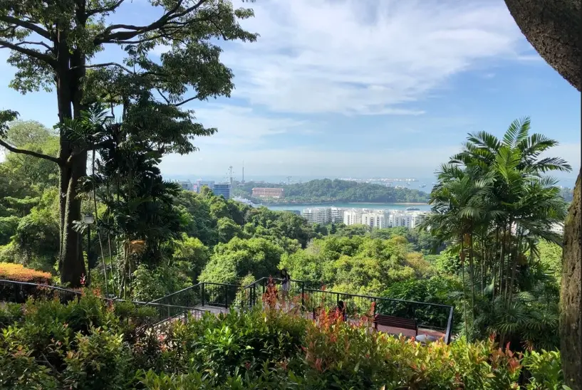 高雄山上景點