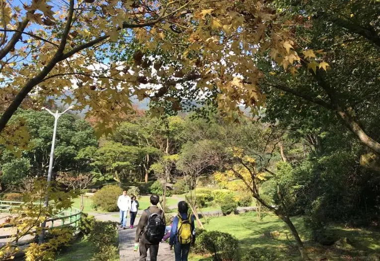 銀杏季節