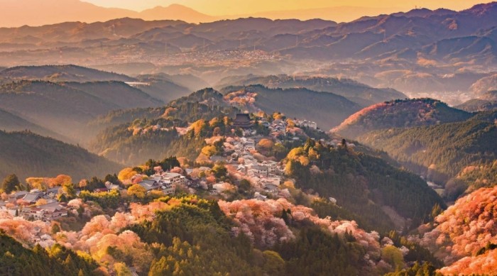 吉野山