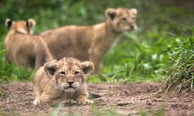赫爾辛基旅遊 赫爾辛基旅遊