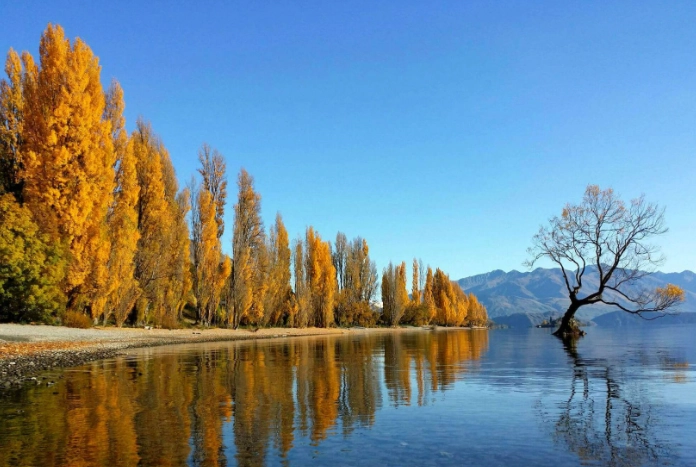 紐西蘭四月天氣