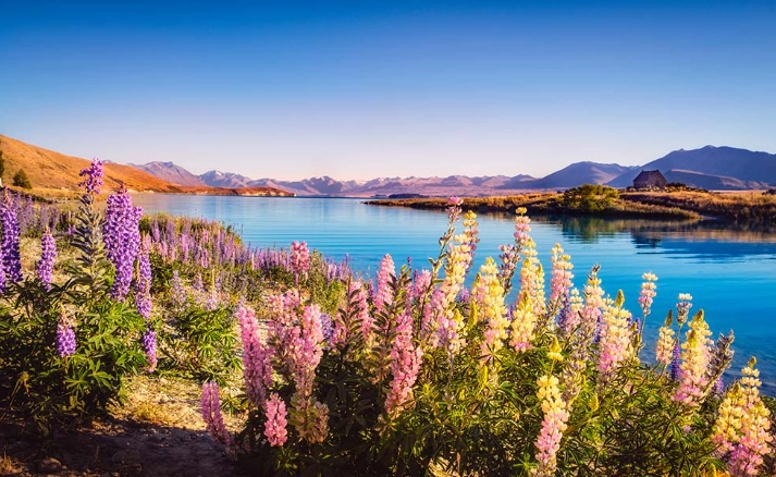 紐西蘭四月天氣