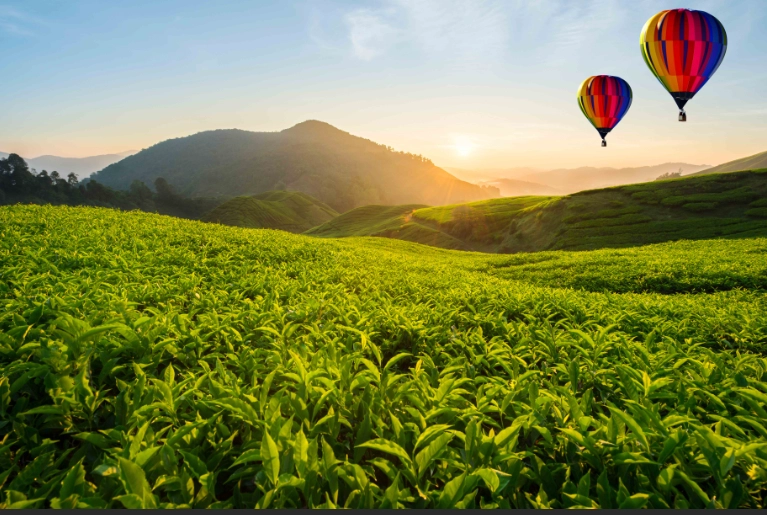 马来西亚生活成本