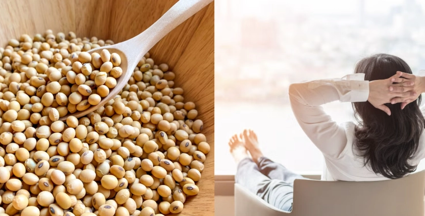 大豆異黃酮副作用