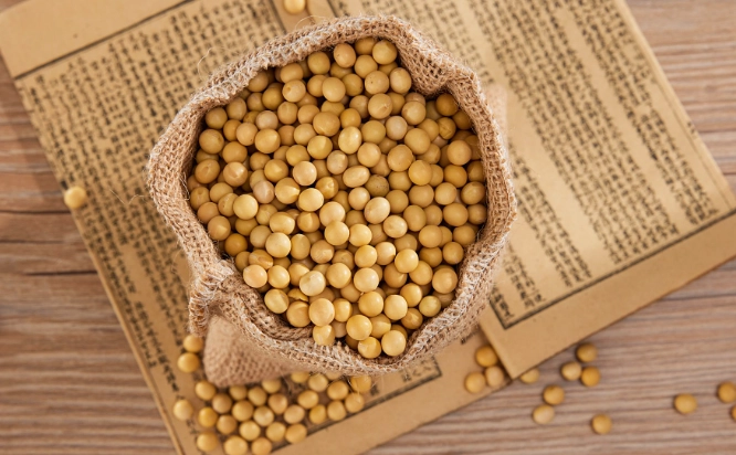 大豆健康益處