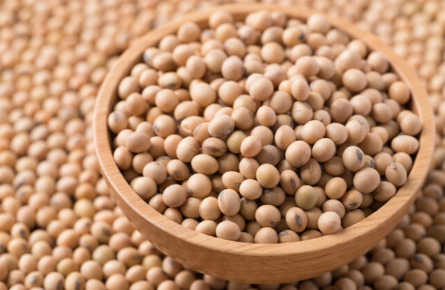 大豆健康益處