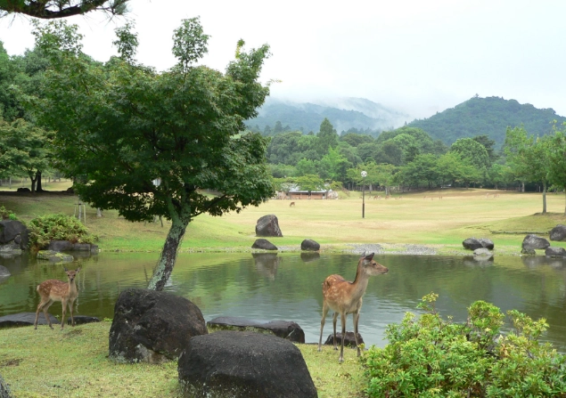 奈良公園周邊旅遊