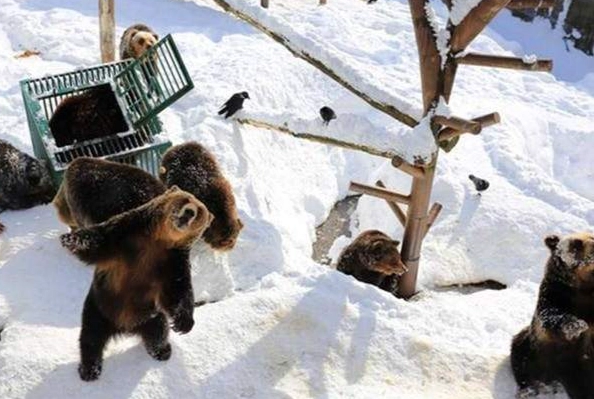 登別冬季旅遊 登別冬季旅遊