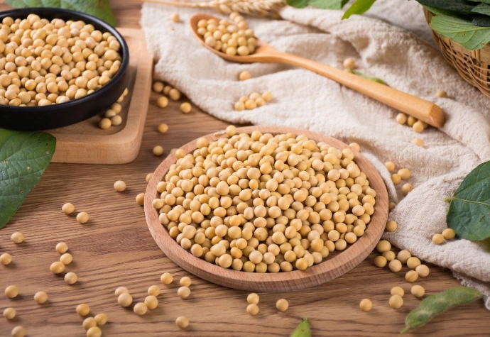 大豆功效