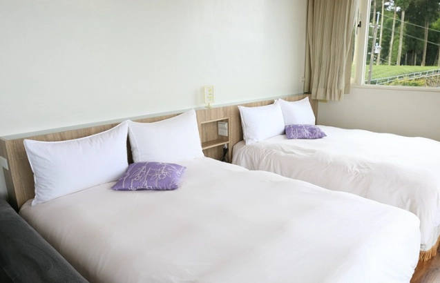 阿里山住宿選擇 阿里山住宿選擇