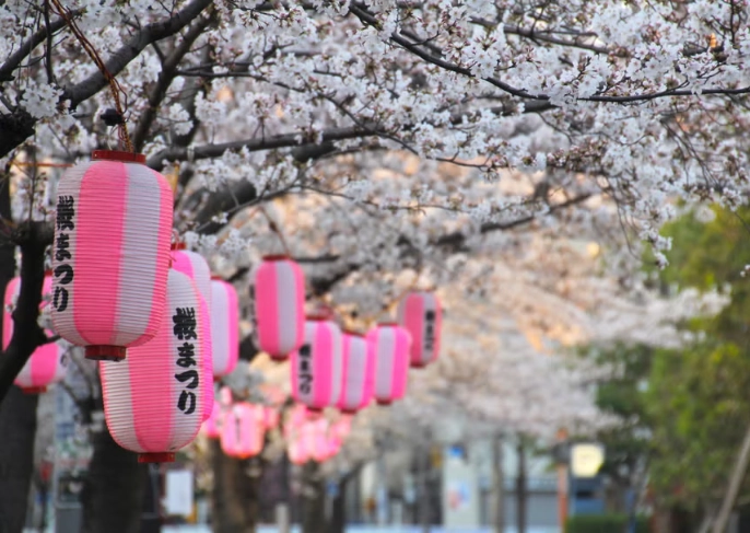 東京賞櫻景點 東京賞櫻景點