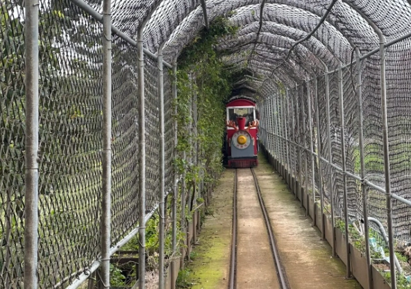 嘉義槺榔驛景點 嘉義槺榔驛景點